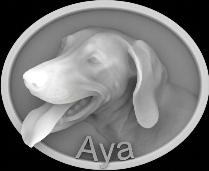 A depth map of a dog plaque
